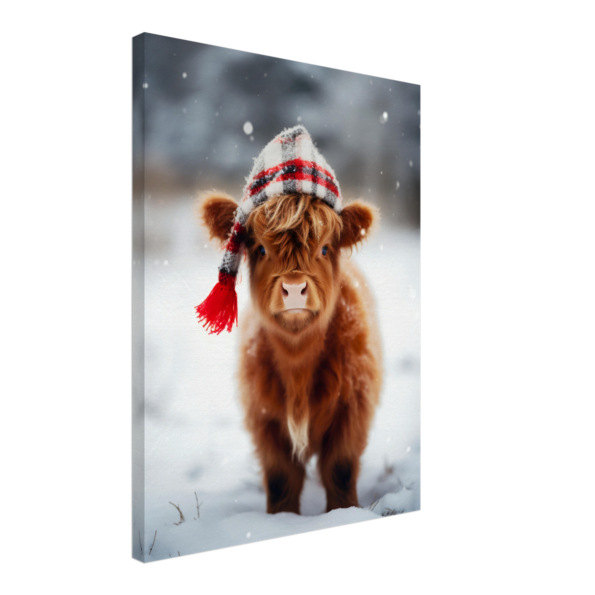 Calf's Cold Winter