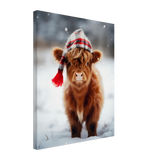 Calf's Cold Winter