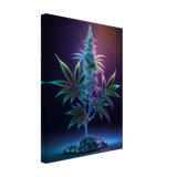 Crystalized Cannabis - WallLumi