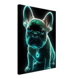 Radiant Frenchie Canvas Print - WallLumi Canvases