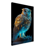 Origin Owl - WallLumi
